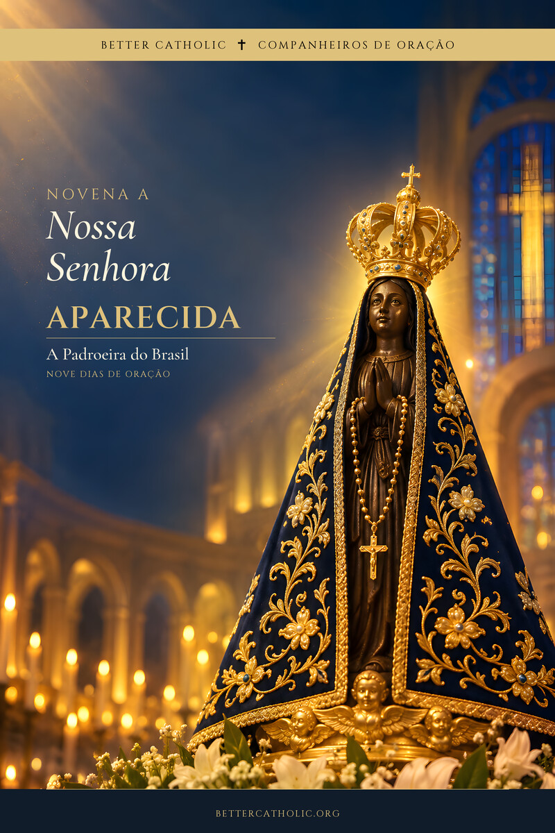Capa do livro: Novena a Nossa Senhora Aparecida