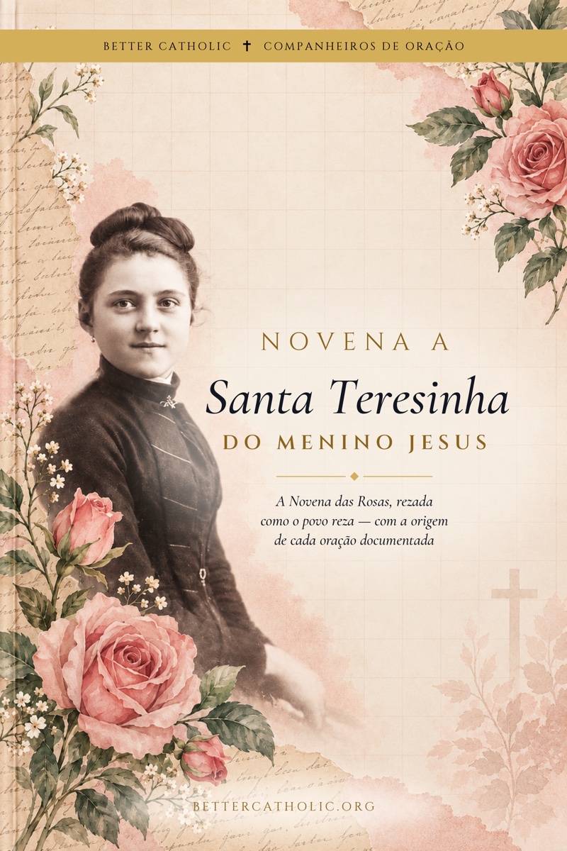 Capa do livro: Novena a Santa Teresinha do Menino Jesus